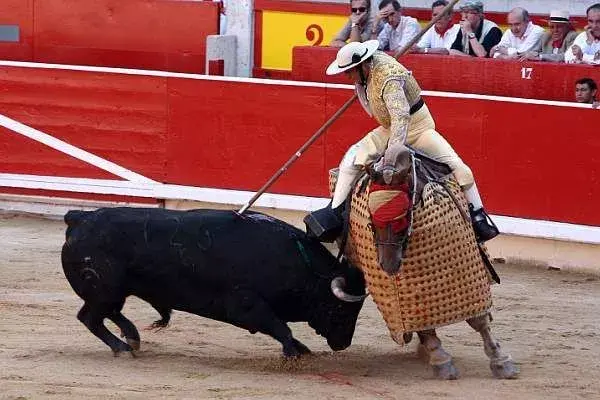 魅力与残忍并存带你了解西班牙斗牛